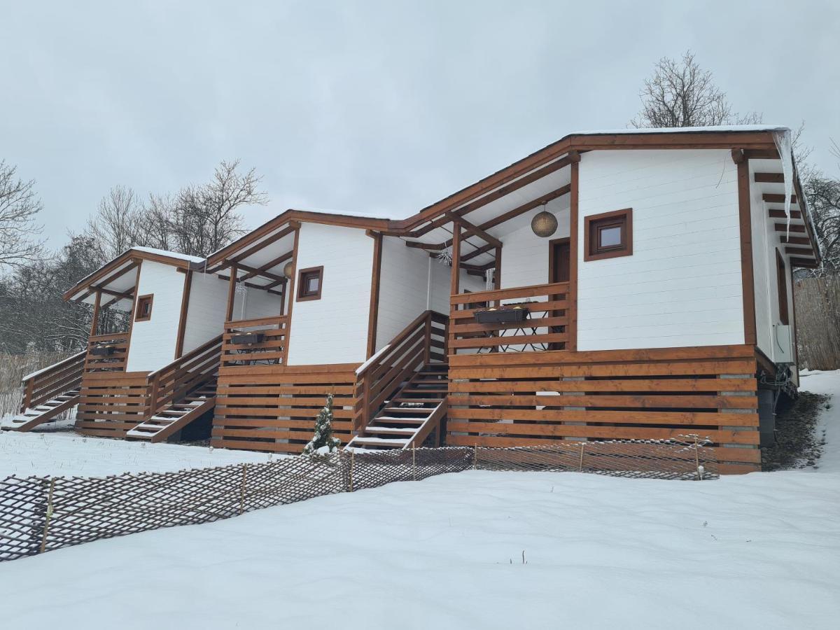 Hotel Flori Haus Saschiz Esterno foto