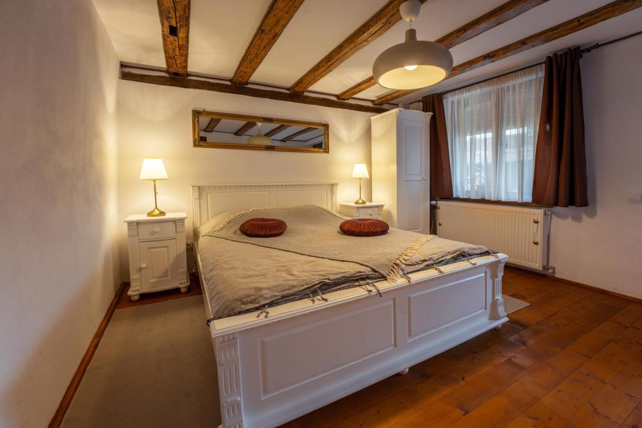 Hotel Flori Haus Saschiz Esterno foto